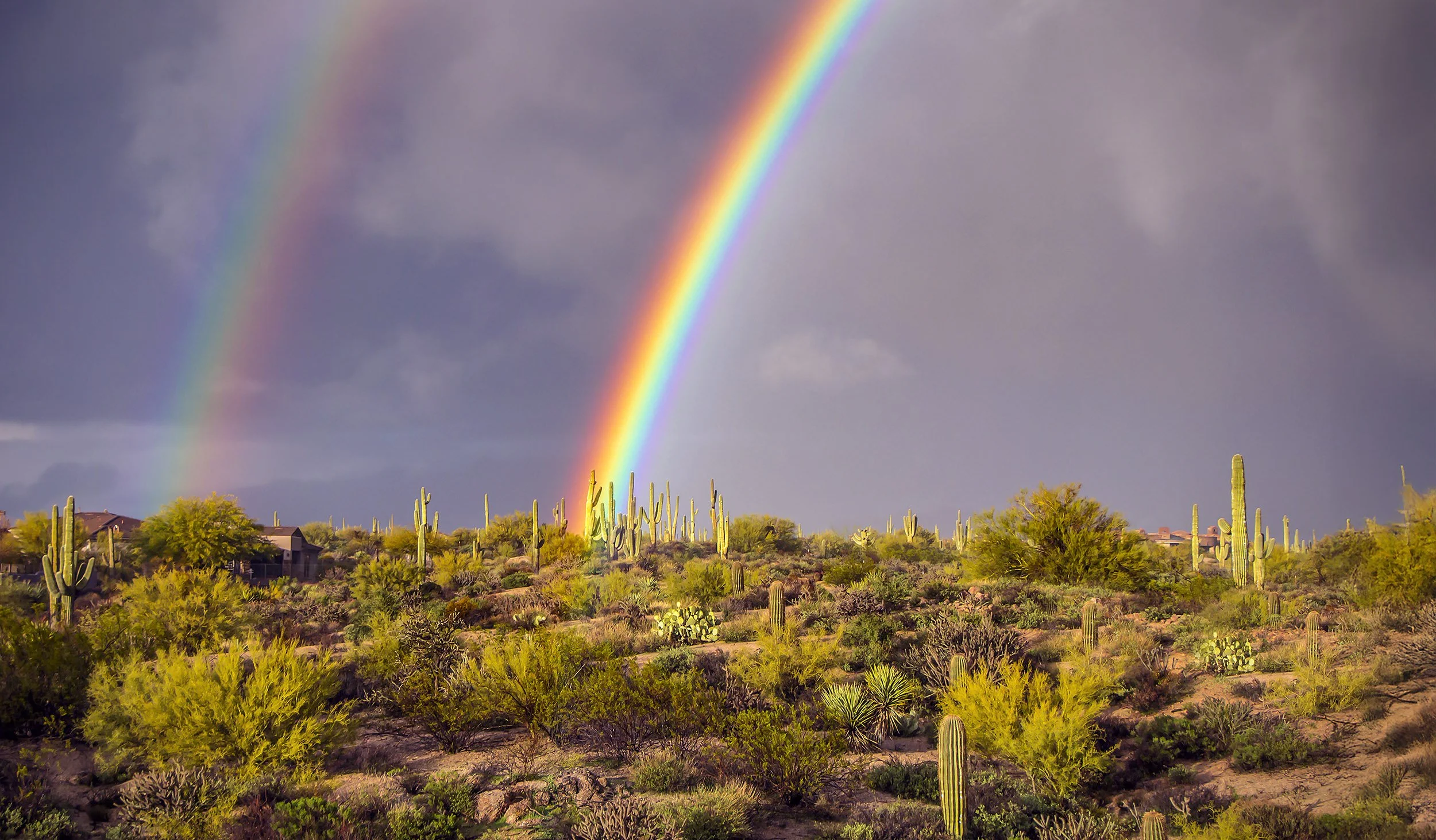 Cool Double Desert Rainbow In Scottsdale Arizona